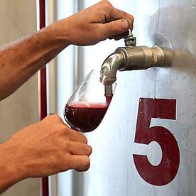 vin testé en plein vinification